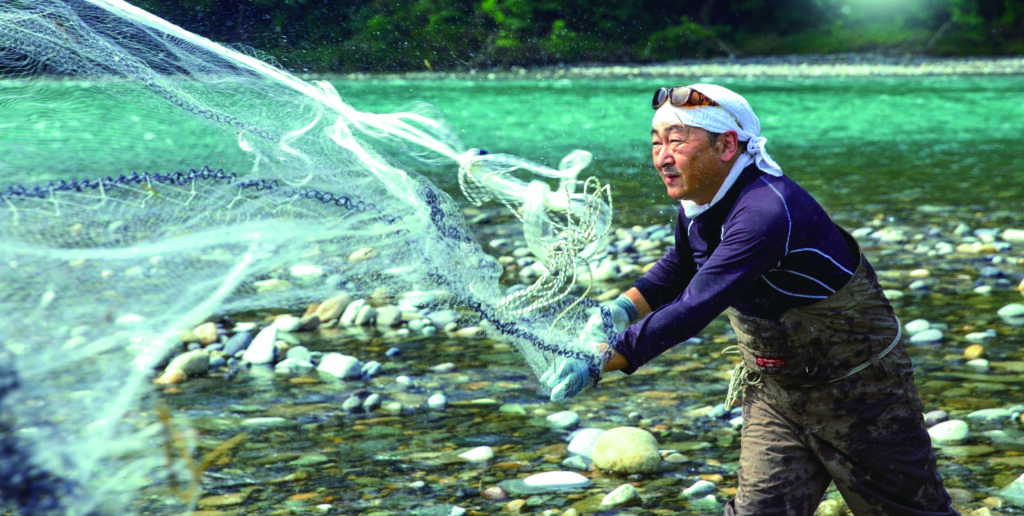 鮎漁師網掛け漁